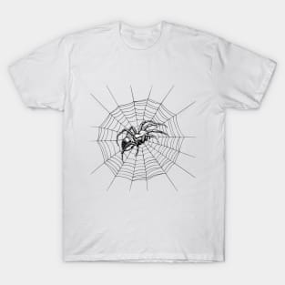 Spider Web Arachnophobia Bugs Halloween Gifts T-Shirt